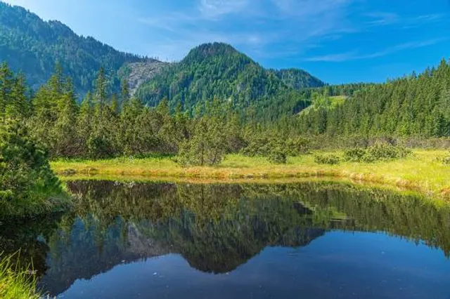 Hochmoor "Leckermoor"