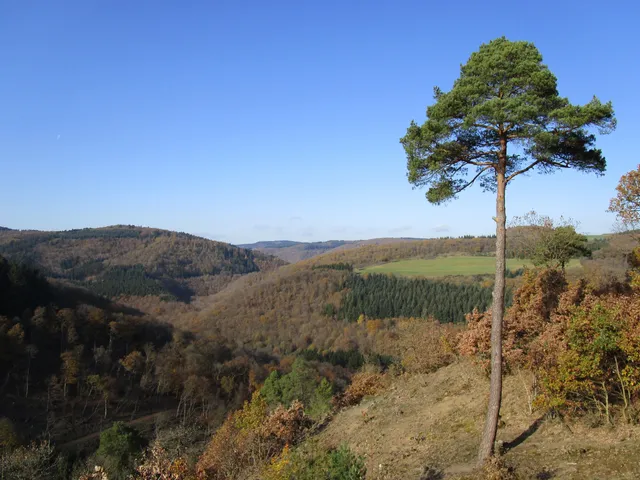 Traumpfädchen Eifeltraum