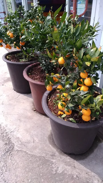 한식뷔페 "밥상"