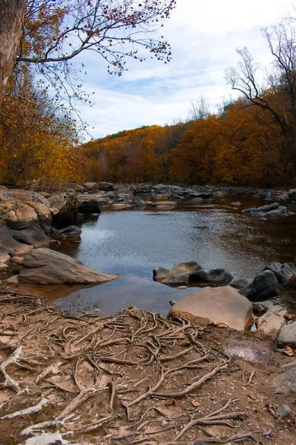 Patapsco Valley State Park - Hollofield Area