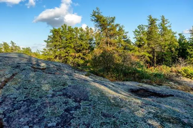 Blueberry Rock Trail