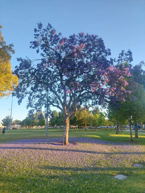 El Camino Real Park