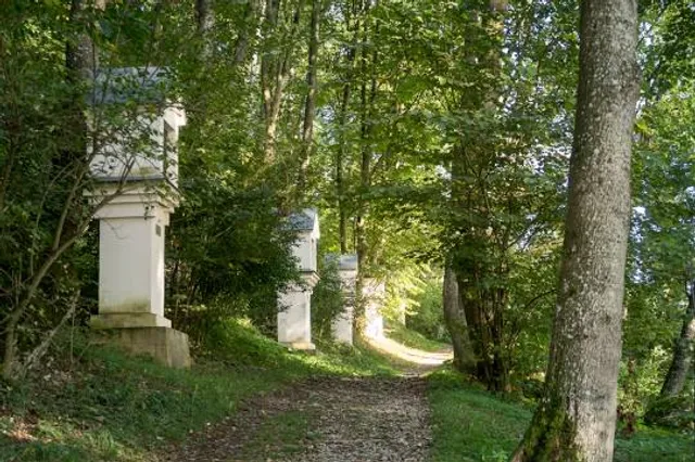 Bakonybél Borostyán-kút