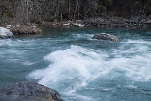 Puente de los Navarros