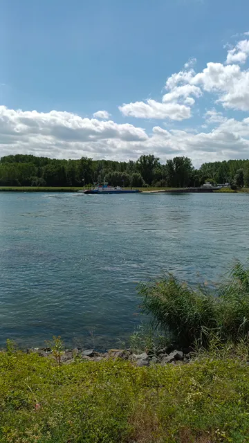 Bac de Rhinau-Kappel