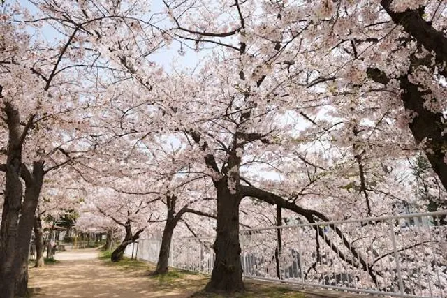 photo-3