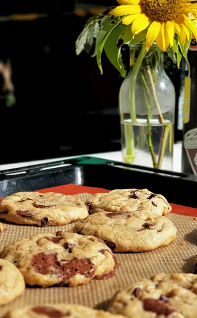 The Lazy Coconut Café Camiguin