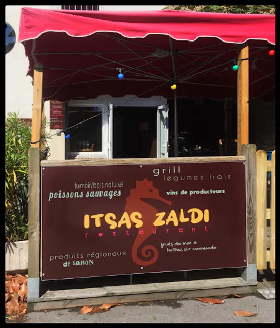 ITSAS ZALDI