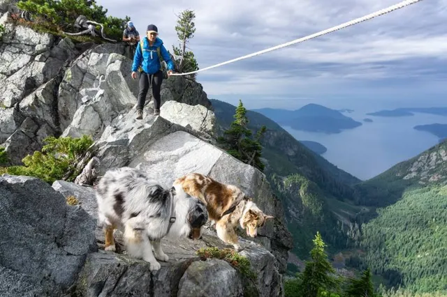 Howe Sound Crest Trail