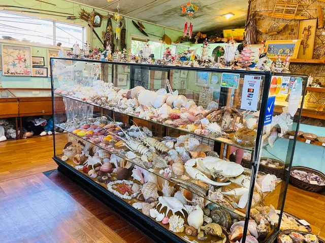 Port Stephens Shell Museum