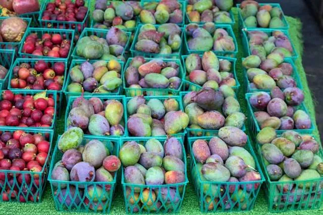 Little Italy Mercato Farmers' Market