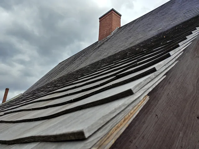 photo-1