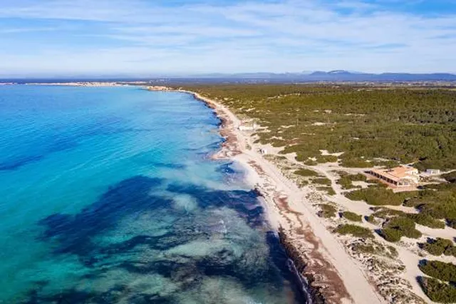 Parque Natural Es Trench-Salobrar