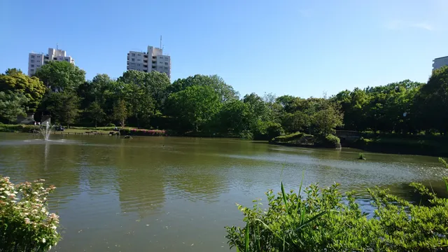 Toyogaokaminami Park