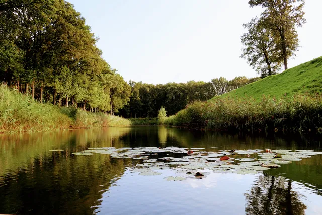 Natuurgebied 'De Brabantse Wal'
