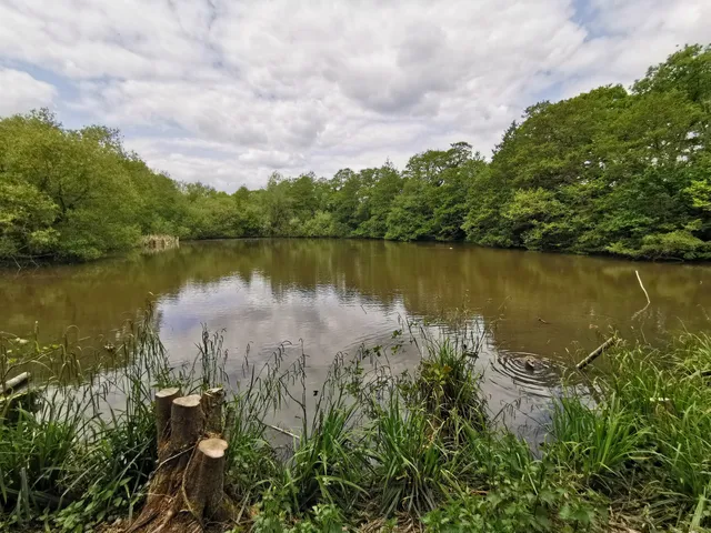 Darlands Nature Reserve