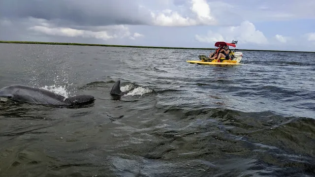 Coastal Backwater Adventures