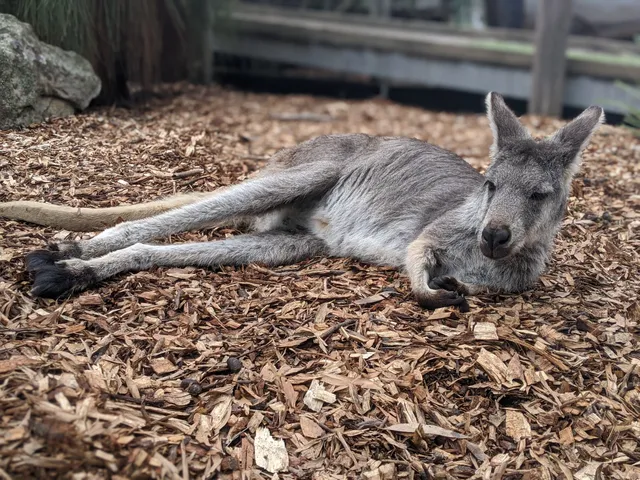 Secret Creek Sanctuary