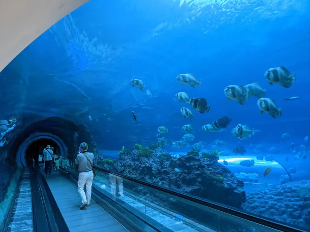 Coral Kingdom Pavilion