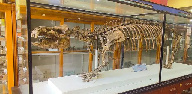 Egyptian Geology Museum