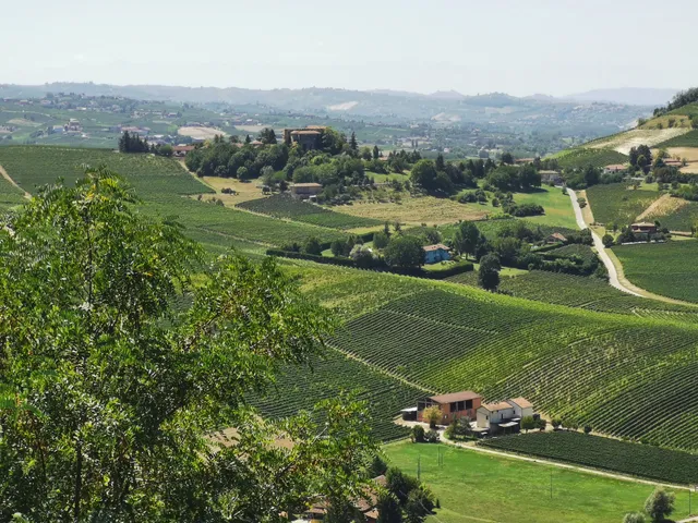 Bricco Lù - Punto Panoramico