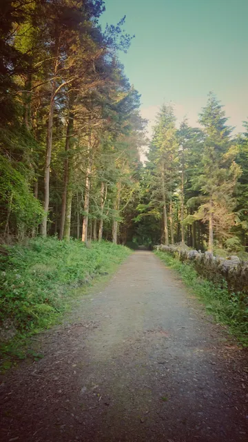 photo-1