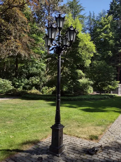 photo-1
