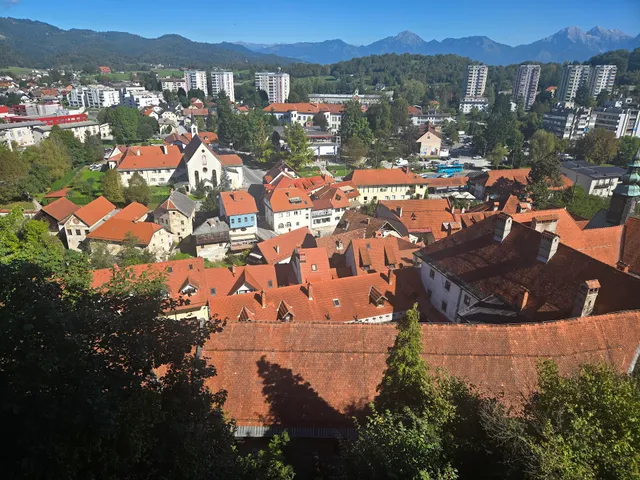 Why not tours, travel agency & Guesthouse Lessi