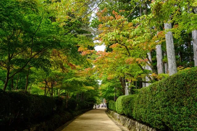 Jabara-michi Temple Road