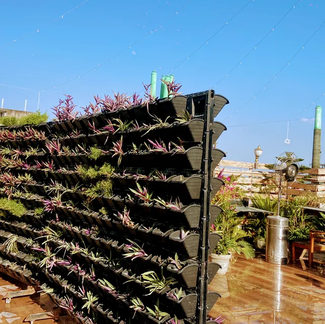 Forest Restro and Bar