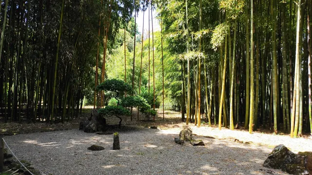 Les Bambous De Planbuisson Garden