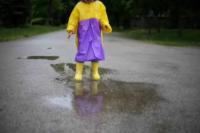 Yokine Regional Open Space