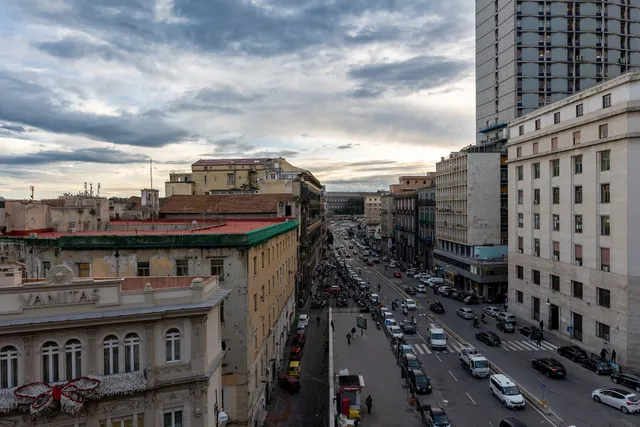 La Lepre felice-bovio