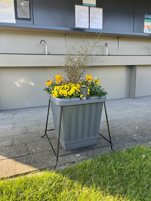 Boomgaardcamping DuinRand