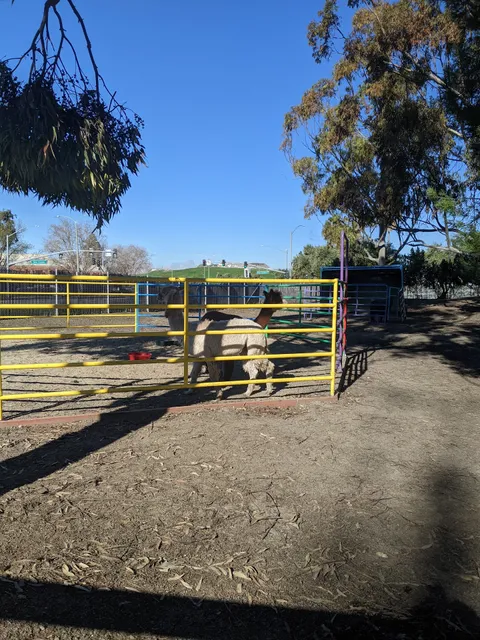 Animal Assisted Happiness