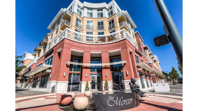 The Mercer Apartment Homes