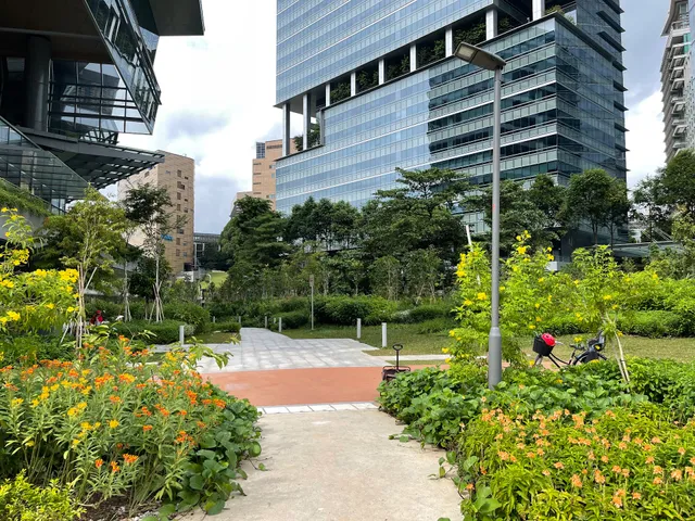 Rail Corridor Access (Buona Vista) 1