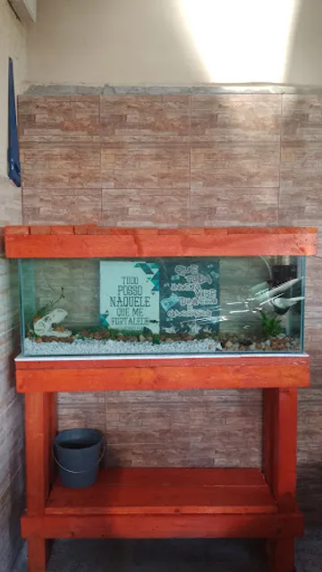 Mecânica do sabor Marmitex e prato executivo