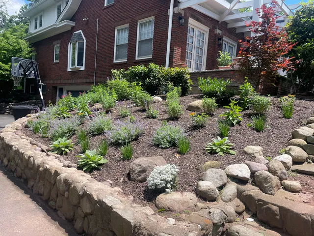 Lewis Natural Landscapes