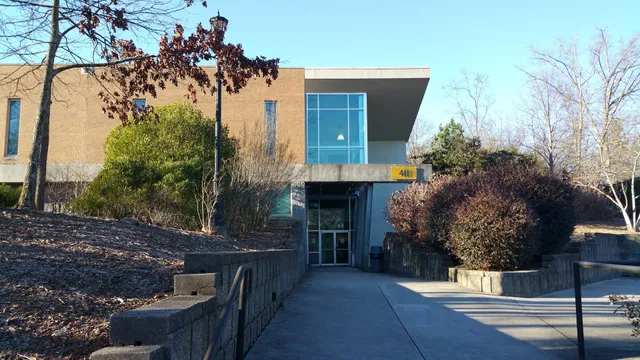 School of Art and Design