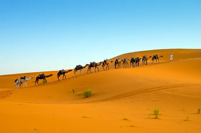 Travel To Desert / Morocco Sahara Tours