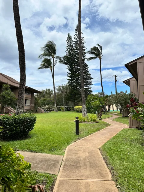 Kihei Bay Vista