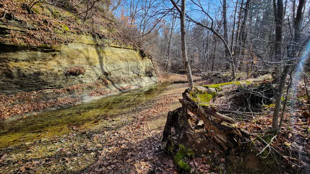 Morgan-Monroe Three Lakes Trailhead