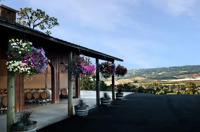 Anderson Family Vineyard