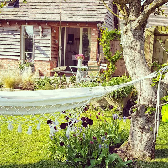 The Dorm Bed and Breakfast