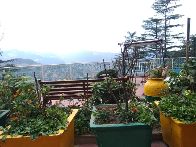 POP HOME 12321 Bnb_chota Shimla