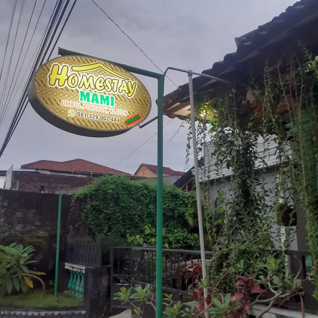 Mami Umbul Ponggok homestay