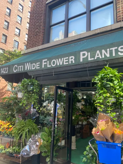 Citywide Flower Plants – Manhattan Florist in New York City