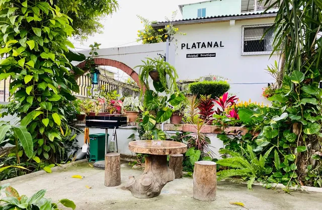 Hotel Boutique Platanal