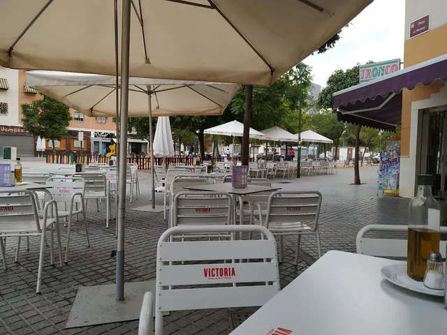 Bar Cafeteria-Bocateria Tronco